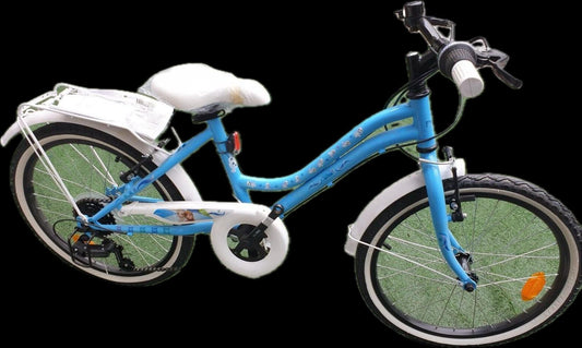 Bicicletta Denver Frozen 20 pollici Con Cambio
