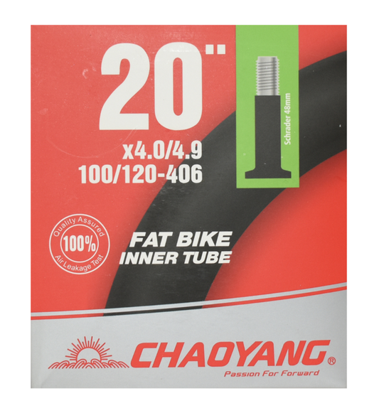 Chaoyang Camera d'Aria Fat Bike 20X4.0/4.9 Valvola America 48mm