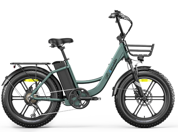 Elettronbike Fat Bike OC20 20x2.40 48V 13AH 250W
