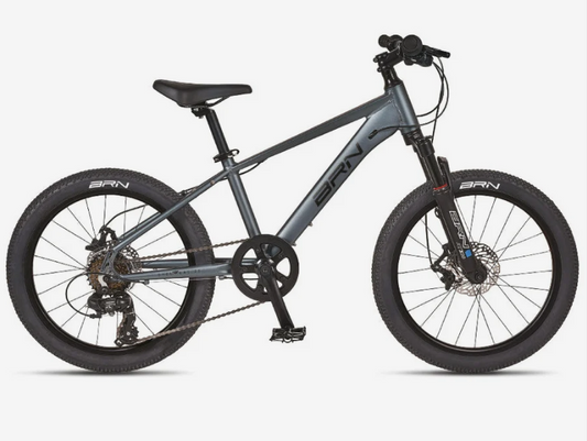 BRN Bici bambino Young 20 Freni a Disco Ammortizzata Grigio