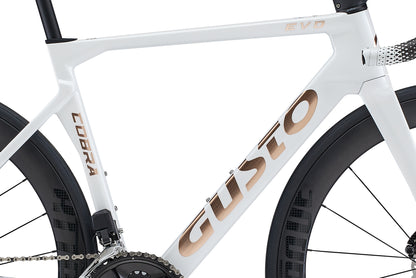 Gusto Bici da Strada EVO DB SPORT TE 105 Di2 12v