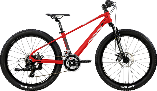 Lombardo Brera 24" Mtb Ragazzo Alluminio Ammortizzata Freni a Disco