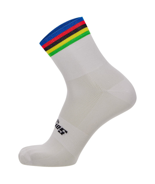 Santini UCI World Champion Calze Estive Ciclismo